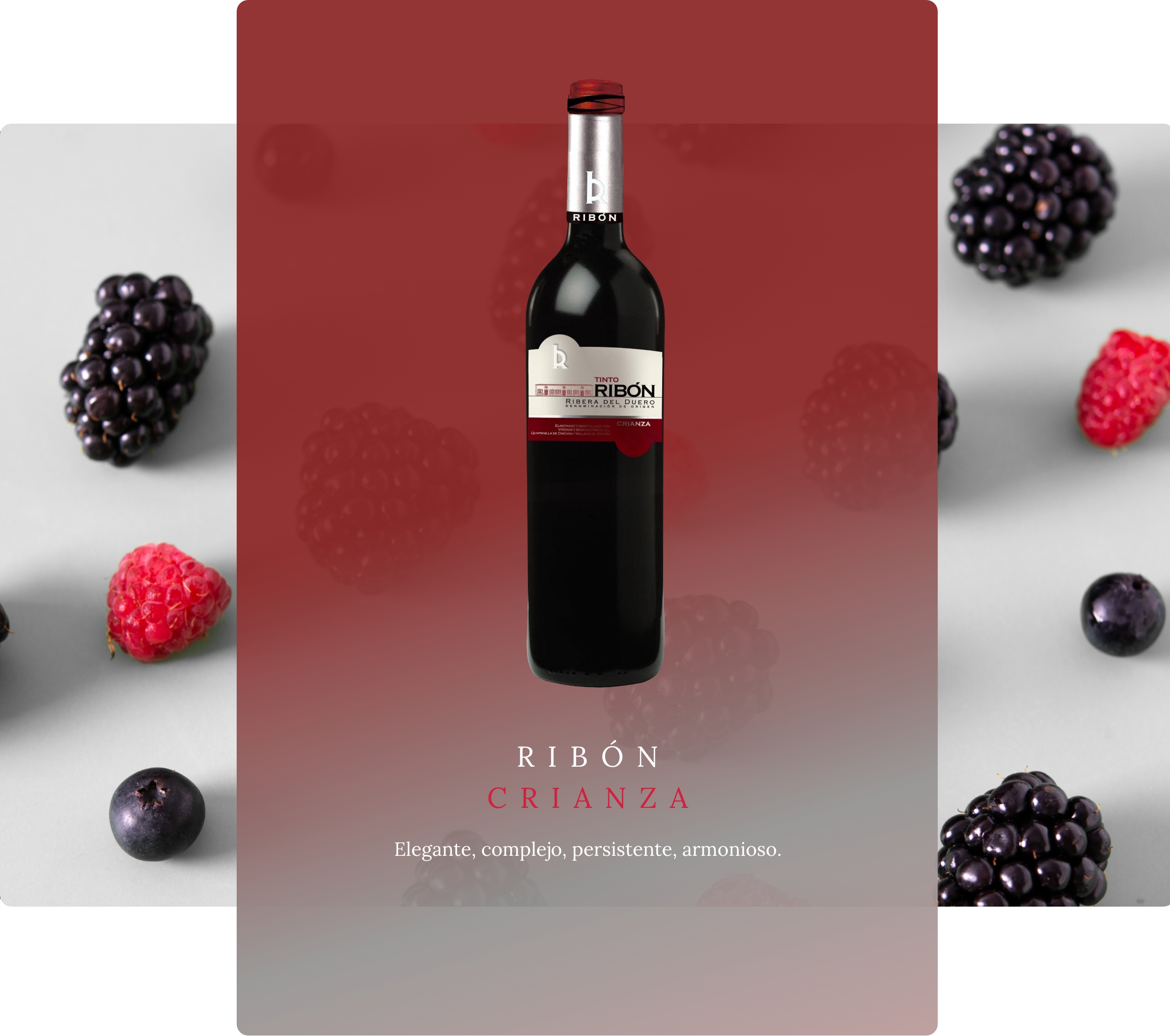 ribon-crianza